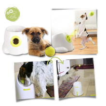 Carica l'immagine nel visualizzatore di Gallery, Lanciatore automatico di palline per cani - Ozerty
