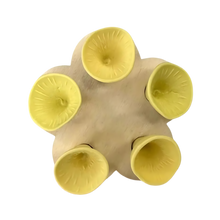 Carica l'immagine nel visualizzatore di Gallery, Coppa per api discreta, Attraente e Colorata -Giallo - Ozerty