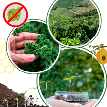 Carica l'immagine nel visualizzatore di Gallery, Attivatore del suolo con nutrienti organici - Ozerty