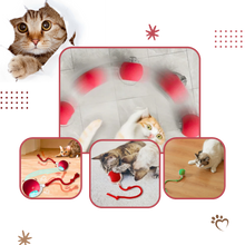 Carica l'immagine nel visualizzatore di Gallery, Palla interattiva intelligente per gatti - Ozerty