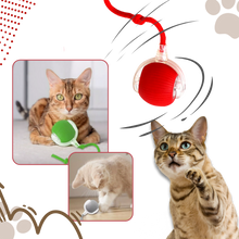 Carica l'immagine nel visualizzatore di Gallery, Palla interattiva intelligente per gatti - Ozerty