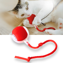 Carica l'immagine nel visualizzatore di Gallery, Palla interattiva intelligente per gatti - Ozerty