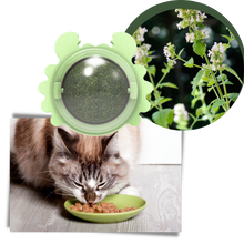 Carica l'immagine nel visualizzatore di Gallery, Giocattolo rotante a forma di palla di menta per gatti - Ozerty
