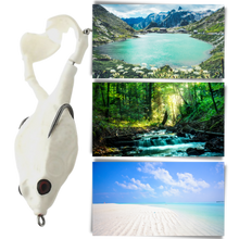 Carica l'immagine nel visualizzatore di Gallery, Esca da pesca a rana in silicone
