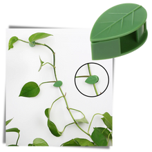 Carica l'immagine nel visualizzatore di Gallery, Confezione da 20 clip adesive a forma di foglia per piante rampicanti - Ozerty
