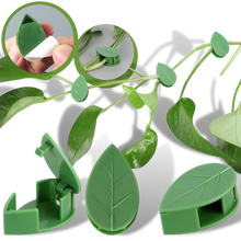Carica l'immagine nel visualizzatore di Gallery, Confezione da 20 clip adesive a forma di foglia per piante rampicanti - Ozerty
