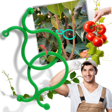 Carica l'immagine nel visualizzatore di Gallery, Confezione di fermi per piante da giardino - Ozerty
