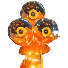 Carica l'immagine nel visualizzatore di Gallery, Bellissimo palloncino a LED con rosa
