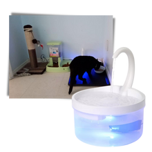 Carica l'immagine nel visualizzatore di Gallery, Fontana d'acqua automatica per gatto con luce LED - Ozerty

