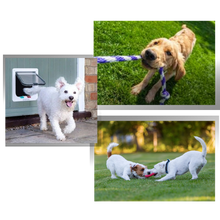 Carica l'immagine nel visualizzatore di Gallery, Gattaiola - Ozerty
