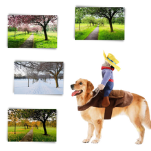 Carica l'immagine nel visualizzatore di Gallery, Costume da cane cowboy - Ozerty
