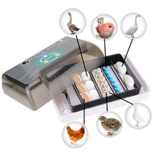 Carica l&#39;immagine nel visualizzatore di Gallery, Incubatrice automatica digitale per uova - Ozayti
