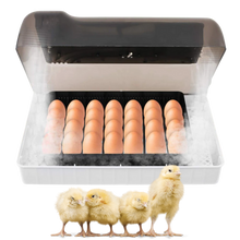 Carica l&#39;immagine nel visualizzatore di Gallery, Incubatrice automatica digitale per uova - Ozayti
