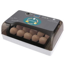 Carica l&#39;immagine nel visualizzatore di Gallery, Incubatrice automatica digitale per uova - Ozayti
