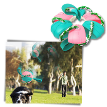 Carica l'immagine nel visualizzatore di Gallery, Giocattolo per cani palla frisbee
