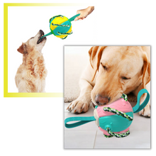 Carica l'immagine nel visualizzatore di Gallery, Giocattolo per cani palla frisbee - Ozerty
