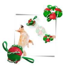 Carica l'immagine nel visualizzatore di Gallery, Giocattolo per cani palla frisbee - Ozerty
