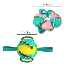 Carica l'immagine nel visualizzatore di Gallery, Giocattolo per cani palla frisbee - Ozerty
