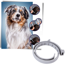 Carica l'immagine nel visualizzatore di Gallery, Collare antipulci per animali domestici - Ozerty
