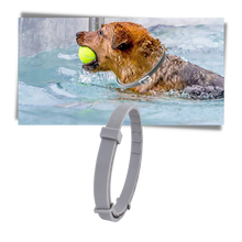 Carica l'immagine nel visualizzatore di Gallery, Collare antipulci per animali domestici - Ozerty

