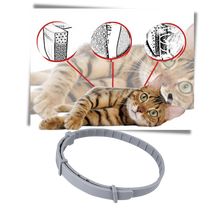 Carica l'immagine nel visualizzatore di Gallery, Collare antipulci per animali domestici - Ozerty
