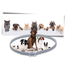 Carica l'immagine nel visualizzatore di Gallery, Collare antipulci per animali domestici
