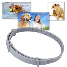 Carica l'immagine nel visualizzatore di Gallery, Collare antipulci per animali domestici - Ozerty
