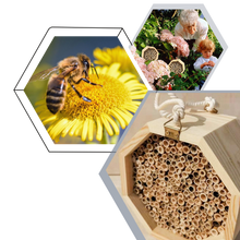 Carica l'immagine nel visualizzatore di Gallery, Casa delle api in legno esagonale - Ozerty
