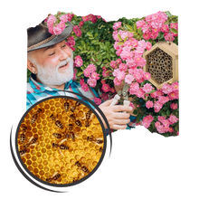 Carica l'immagine nel visualizzatore di Gallery, Casa delle api in legno esagonale - Ozerty
