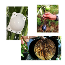 Carica l'immagine nel visualizzatore di Gallery, Confezione da 3 scatole per piante a stratificazione aerea - Ozerty
