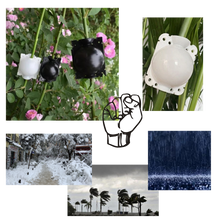 Carica l'immagine nel visualizzatore di Gallery, Confezione da 3 scatole per piante a stratificazione aerea
