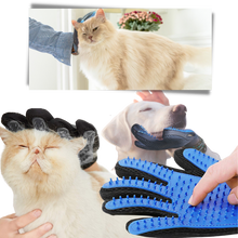 Load image into Gallery viewer, Guanti da toelettatura per animali (paio) - Ozerty
