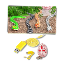 Carica l'immagine nel visualizzatore di Gallery, Giocattolo a serpente interattivo telecomandato per gatto - Ozerty
