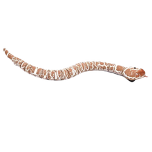 Carica l'immagine nel visualizzatore di Gallery, Giocattolo a serpente interattivo telecomandato per gatto
