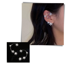 Carica l'immagine nel visualizzatore di Gallery, Coppia di orecchini alla moda con zirconi - Ozerty
