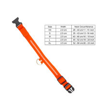 Carica l'immagine nel visualizzatore di Gallery, Collare per animali con luce LED ricaricabile USB - Ozerty
