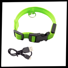 Carica l'immagine nel visualizzatore di Gallery, Collare per animali con luce LED ricaricabile USB - Ozerty
