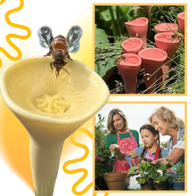 Carica l'immagine nel visualizzatore di Gallery, Coppa per api discreta, Attraente e Colorata - Ozerty
