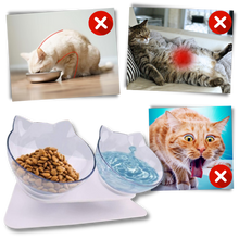 Carica l'immagine nel visualizzatore di Gallery, Ciotola comfort rialzata per gatti - Ozerty
