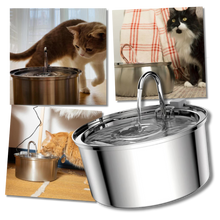 Carica l'immagine nel visualizzatore di Gallery, Fontana per gatti di grande capacità - Ozerty
