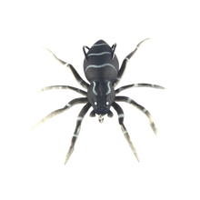 Carica l'immagine nel visualizzatore di Gallery, Esche ragno a movimento naturale -Nero - Ozerty
