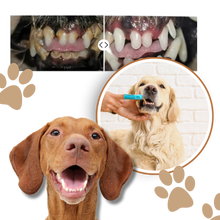 Carica l'immagine nel visualizzatore di Gallery, Gel Orale per Animali Domestici - Ozerty
