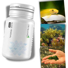 Carica l&#39;immagine nel visualizzatore di Gallery, Alghicida preventivo per acquari - Ozerty
