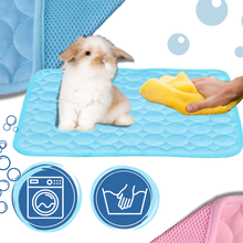 Carica l'immagine nel visualizzatore di Gallery, Cuscinetto di raffreddamento per animali domestici in seta - Ozerty
