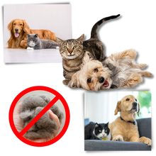 Carica l'immagine nel visualizzatore di Gallery, Spazzola per cani e gatti per la rimozione del pelo - Ozerty
