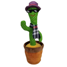Carica l&#39;immagine nel visualizzatore di Gallery, Pappagallo cactus parlante
