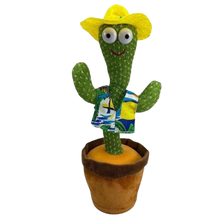 Carica l&#39;immagine nel visualizzatore di Gallery, Pappagallo cactus parlante
